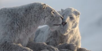 Il pianeta preistorico: Era glaciale, le prime immagini della docuserie Apple TV+